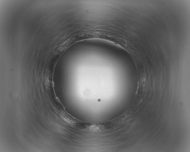 X0000078010566200611171849