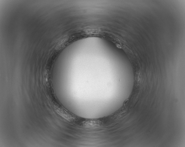 X0000078010567200611171849