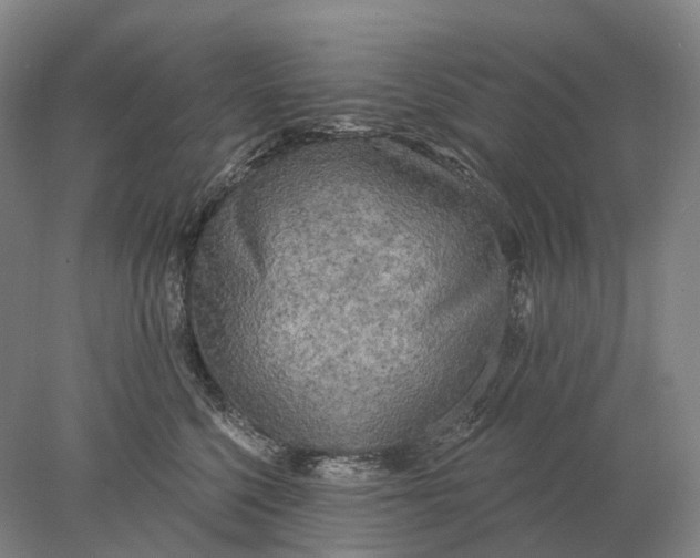 X0000078010568200611171849