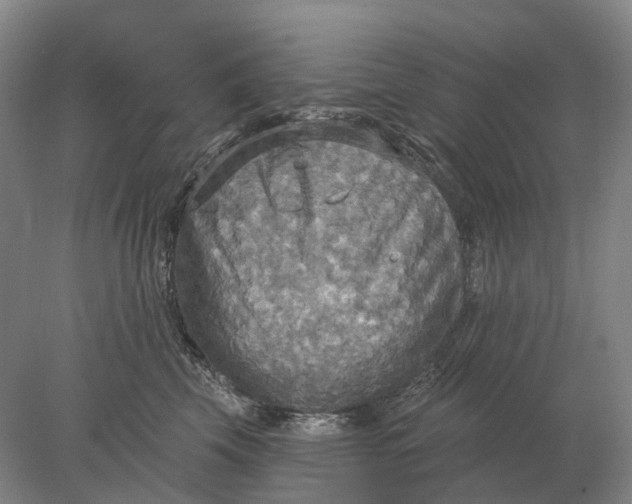 X0000078010569200611171849