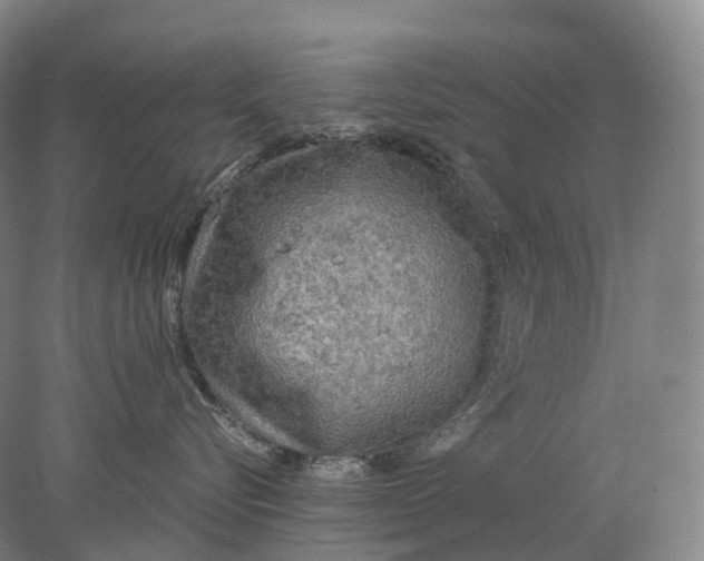 X0000078010576200611171849