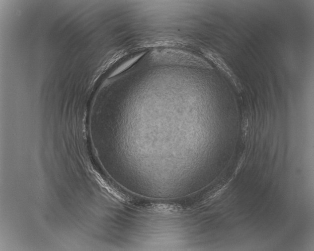 X0000078010585200611171848