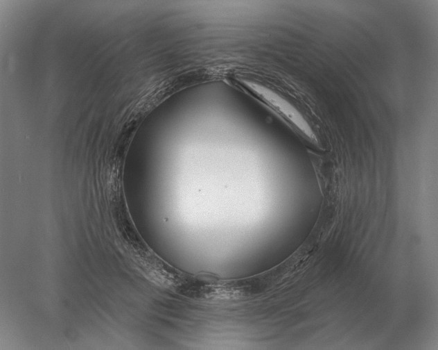 X0000078010601200611171848