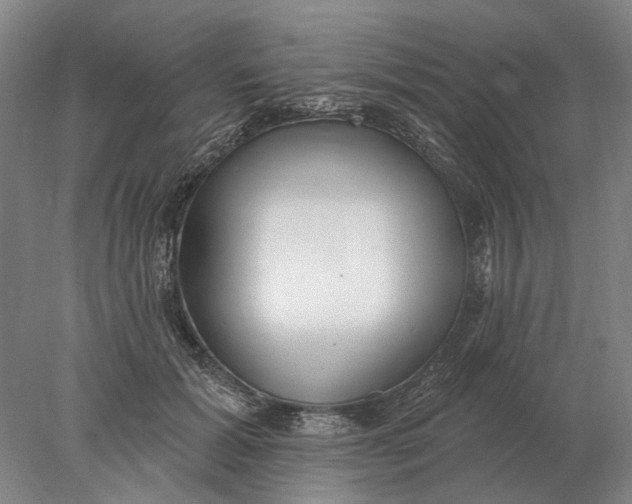 X0000078010605200611171848
