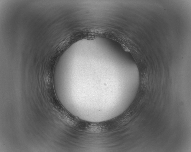 X0000078010608200611171848