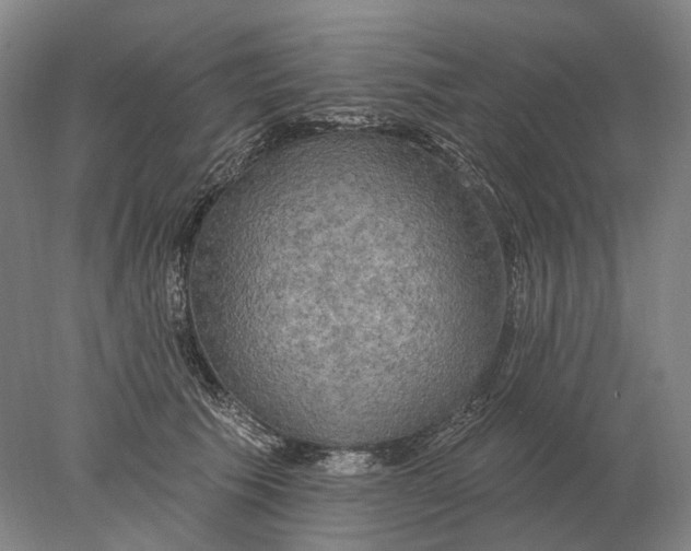 X0000078010609200611171848
