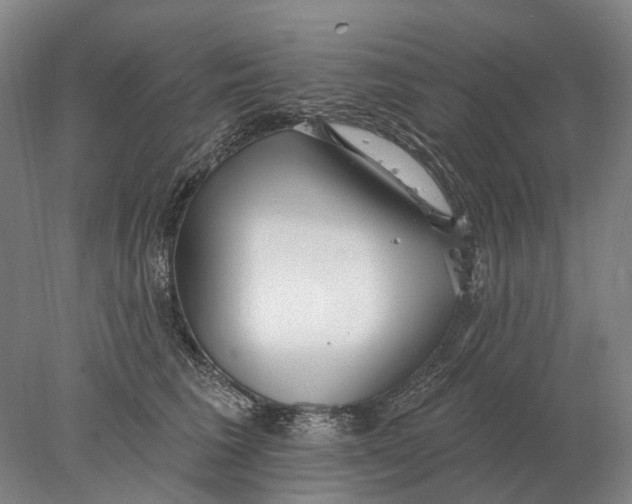 X0000078010613200611171848