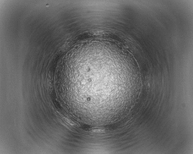 X0000078010653200611171847