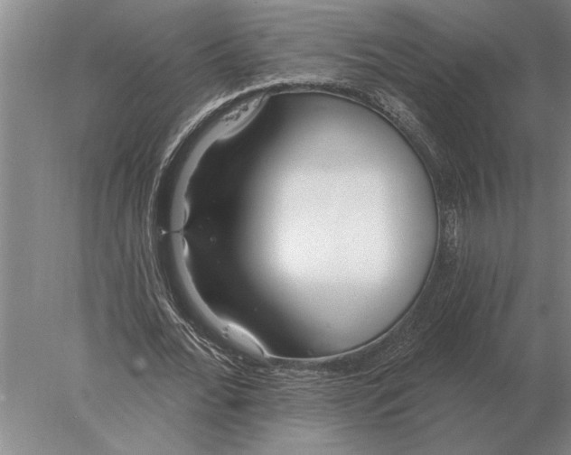 X0000078010676200611171847