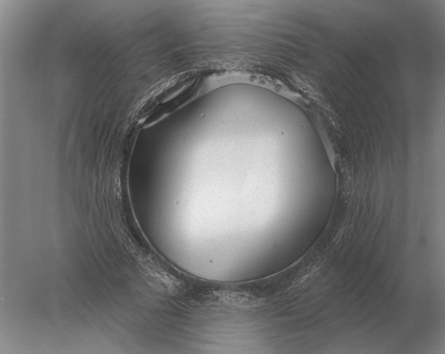 X0000078010681200611171847