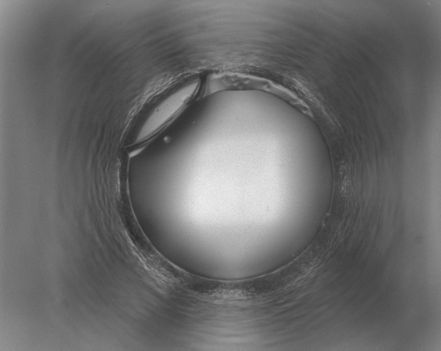 X0000078010685200611171847