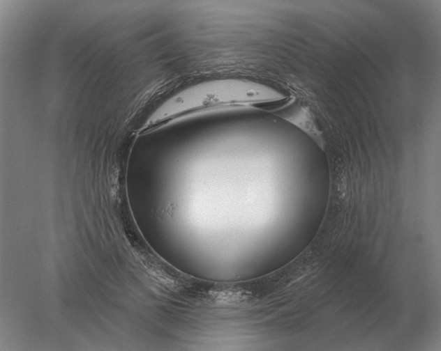X0000078010693200611171847