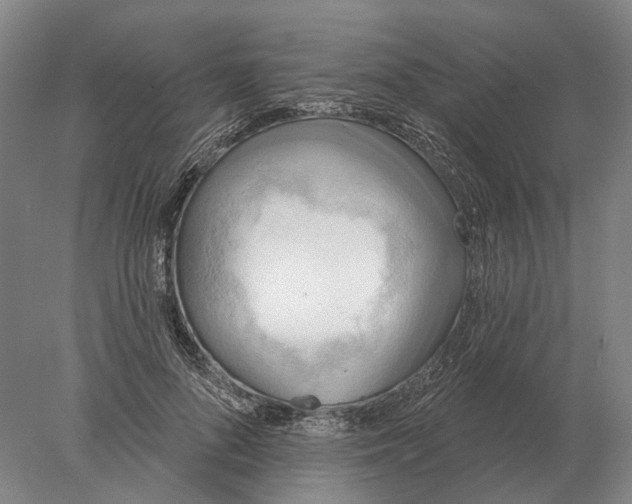 X0000078010696200611171847