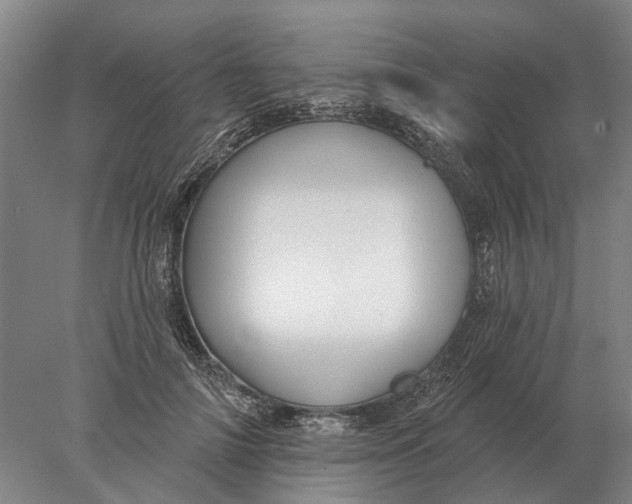 X0000078010698200611171846