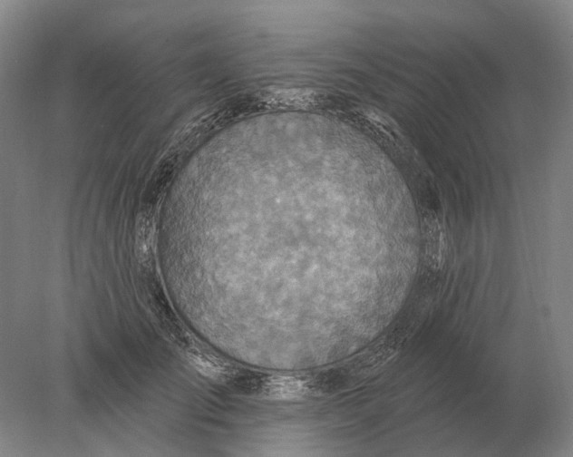 X0000078010701200611171846