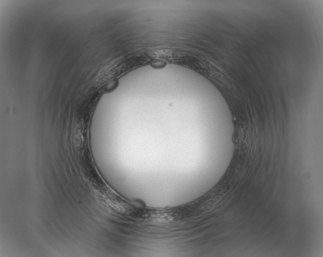 X0000078010702200611171846