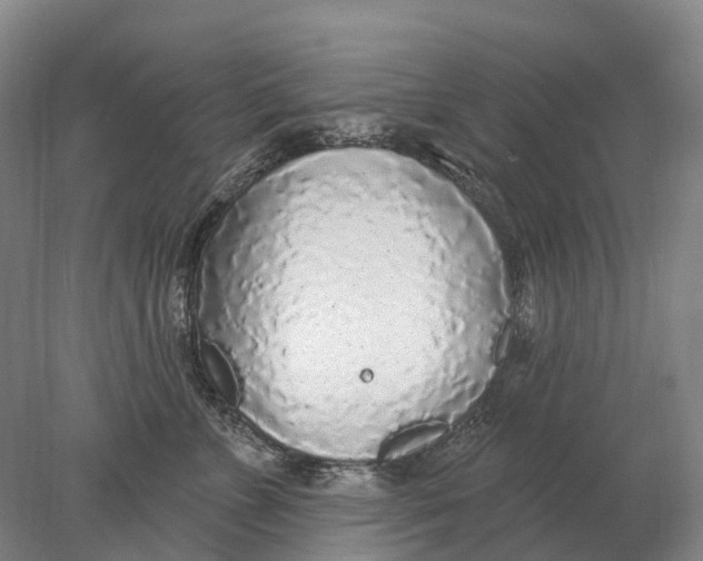 X0000078010715200611171846