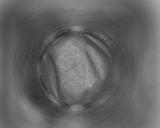 X0000078010720200611171846