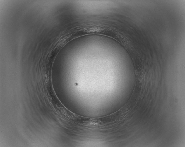 X0000078010743200611171846