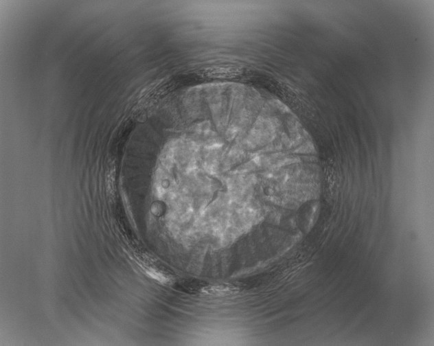 X0000078010745200611171846