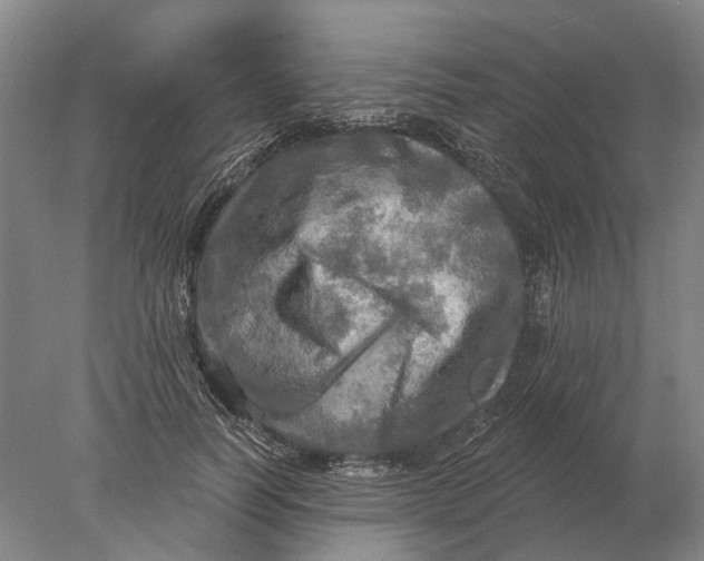 X0000078010746200611171846