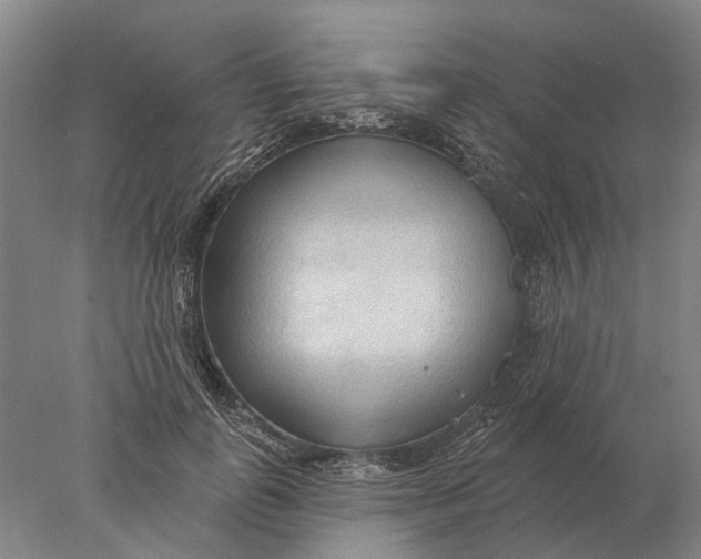 X0000078010747200611171846