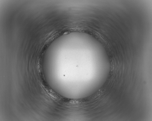 X0000078010764200611171846