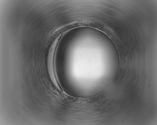 X0000078010773200611171845