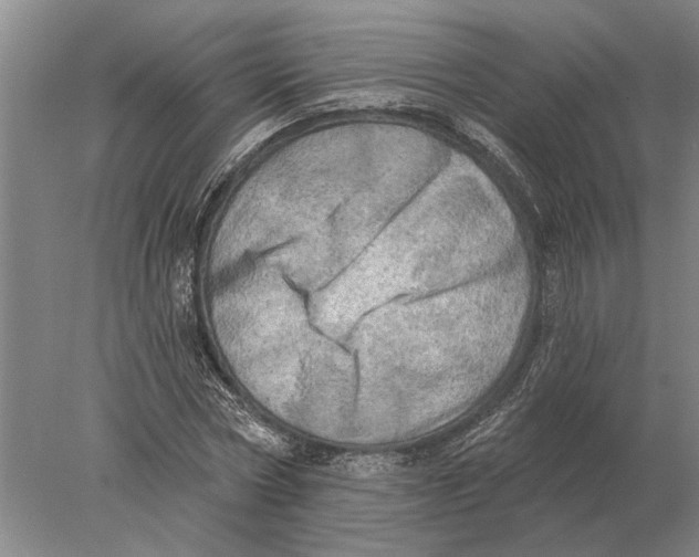 X0000078010778200611171845