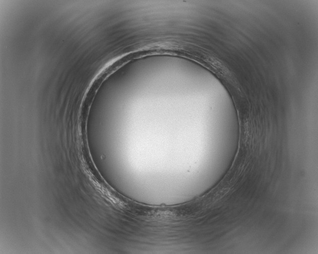 X0000078010784200611171845