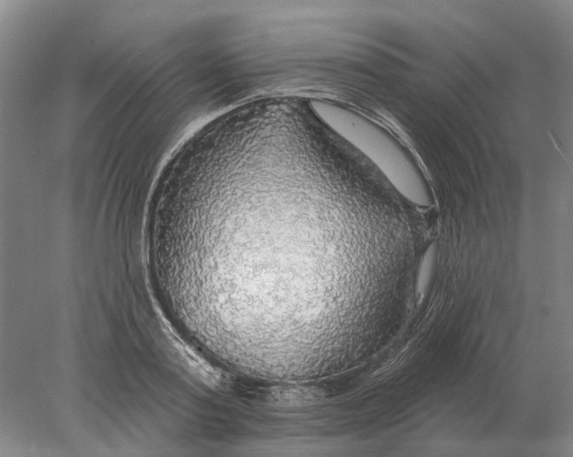 X0000078010795200611171845