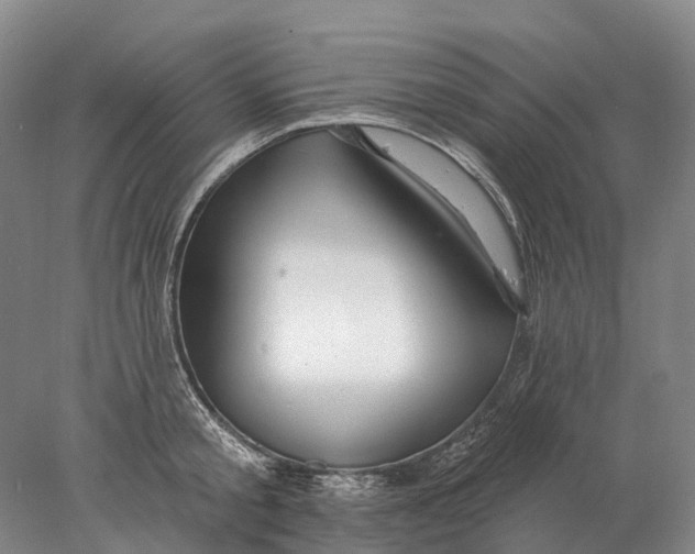 X0000078010805200611171845