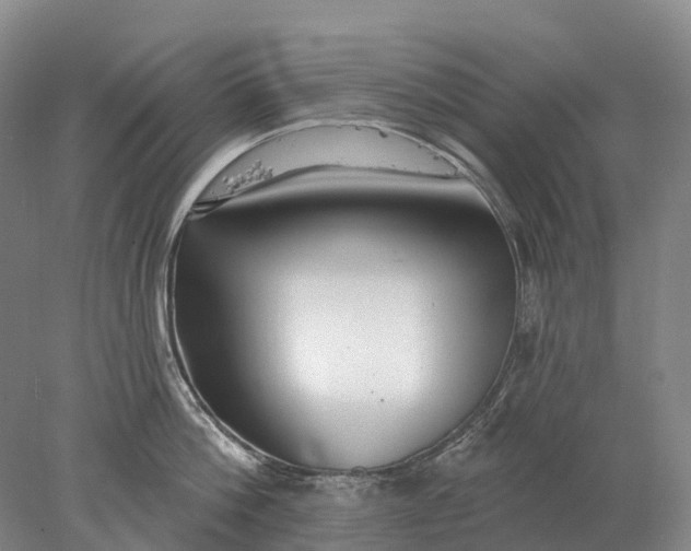 X0000078010812200611171845