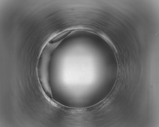 X0000078010813200611171845