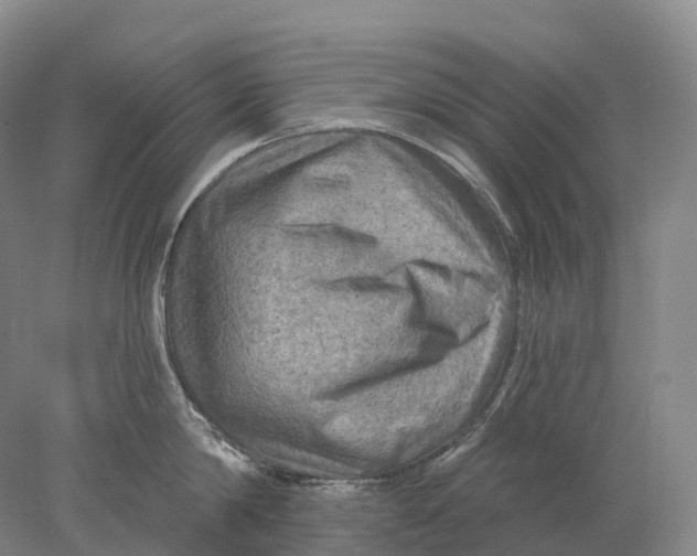X0000078010814200611171845