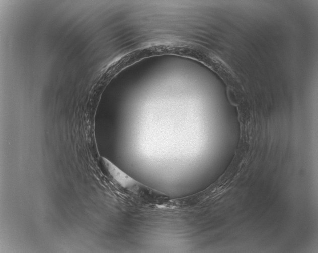 X0000078010822200611171844