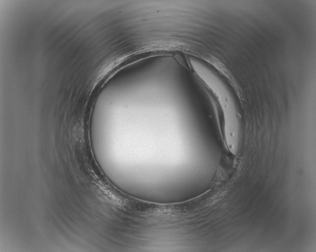 X0000078010834200611171844