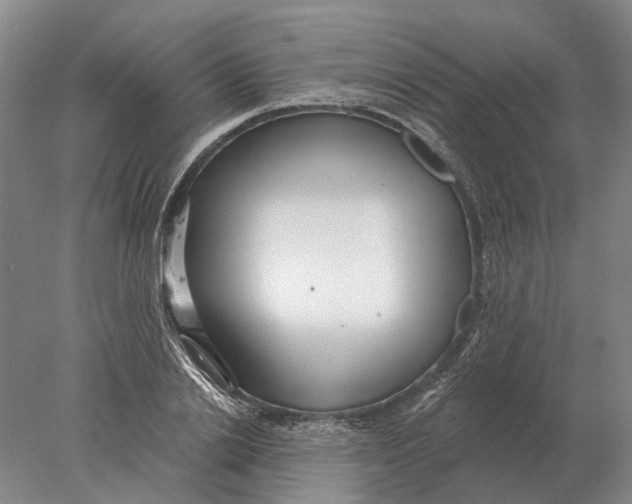 X0000078010838200611171844