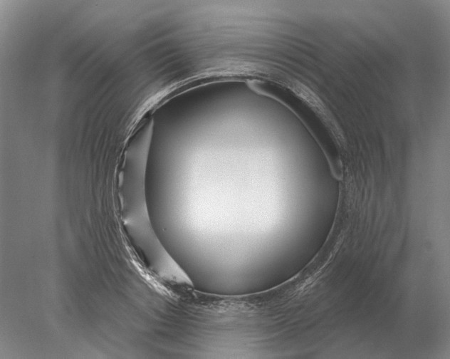 X0000078010842200611171844