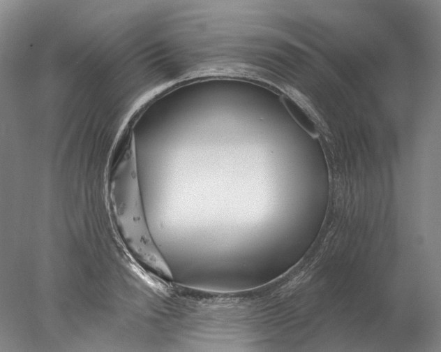 X0000078010846200611171844