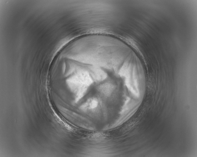 X0000078010847200611171844