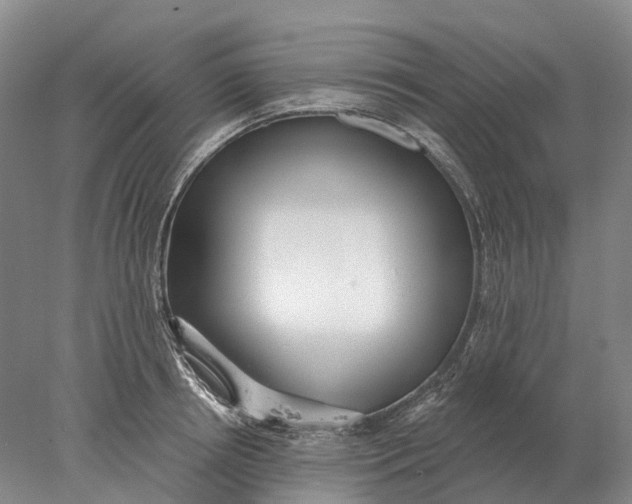X0000078010850200611171844