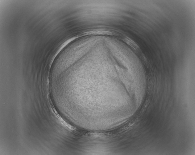 X0000078010852200611171844