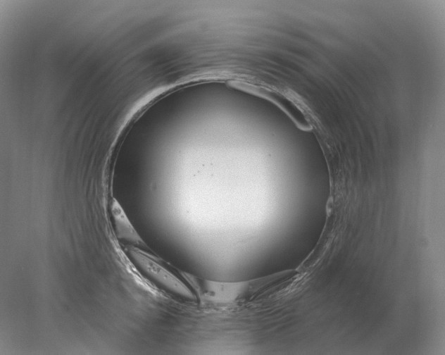 X0000078010854200611171844