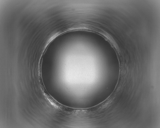 X0000078010858200611171844