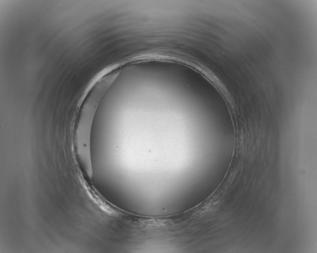 X0000078010862200611171844