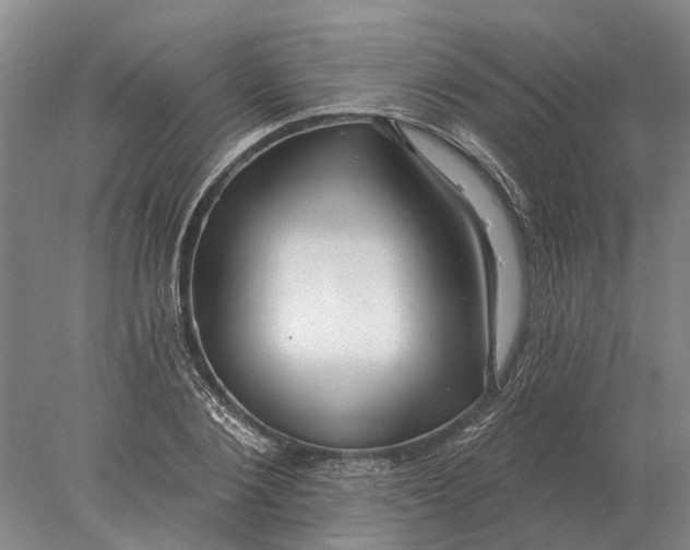 X0000078010884200611171843