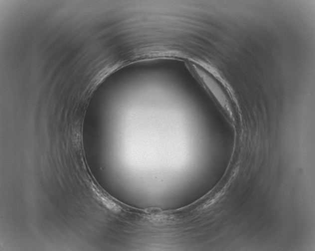 X0000078010897200611171843