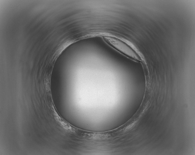 X0000078010905200611171843