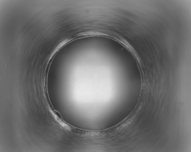 X0000078010909200611171843